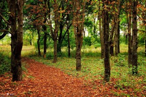 爱游戏体育平台-中国选手在国际柔道大赛中逆转夺冠，中国选手在国际柔道大赛中逆转夺冠了吗