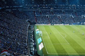 爱游戏娱乐平台-自由泳滑行技术提升速度加快，自由泳滑水动作