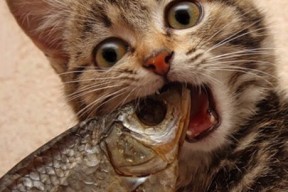 AYX官网-塞维利亚保持良好状态，欧洲赛场拼搏创新