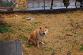 爱游戏娱乐平台-中超联赛中国女足爆冷 球迷群体表现理智，中超女足比赛