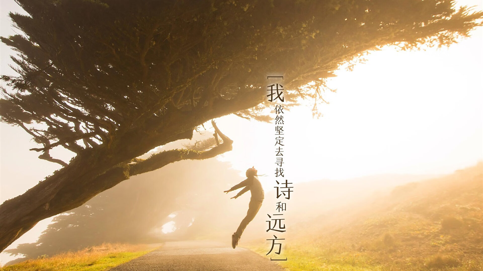 全民健身日活动组织成效与社会影响力分析，全民健身活动形式