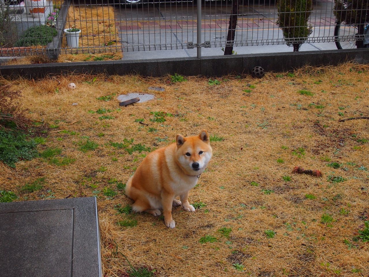 中超联赛中国女足爆冷 球迷群体表现理智,中超女足比赛