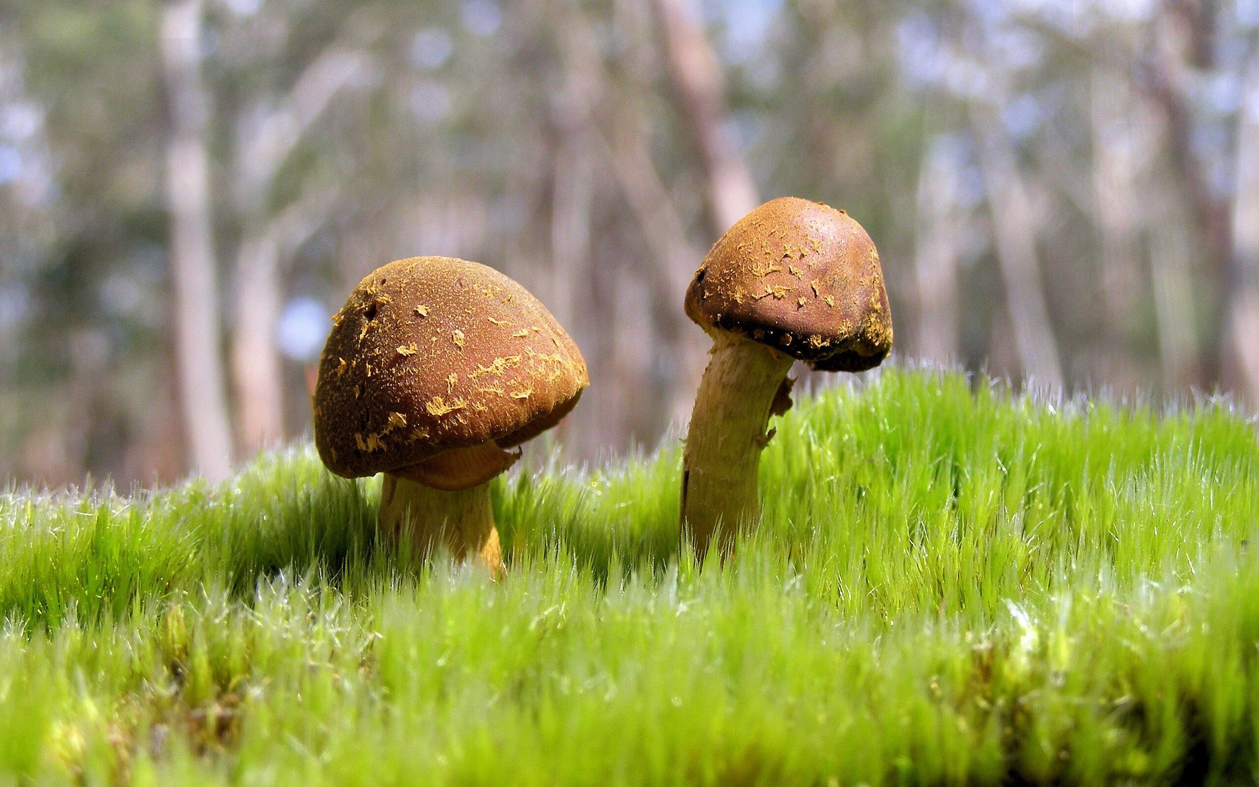 国际乒联发布2024混合团体世界杯赛制新规,国际乒联发布2024混合团体世界杯赛制新规定