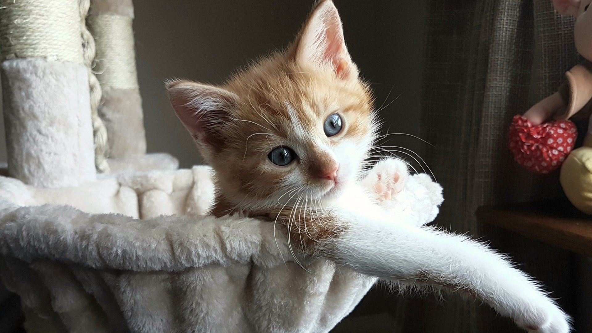 场馆智能化建设实现高效管理,场馆智能化建设实现高效管理的意义