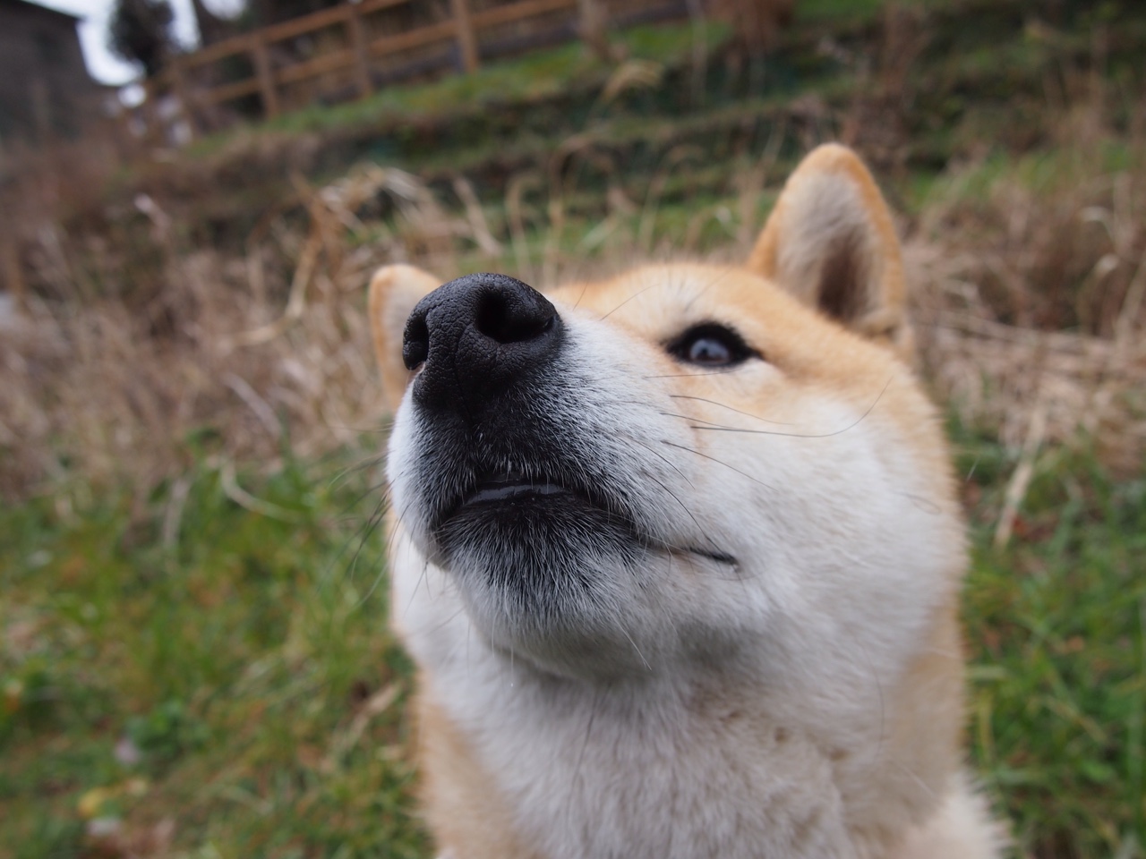 边路球员是否能通过持球时间控制整体进攻节奏,边路球员怎么摆脱防守人员