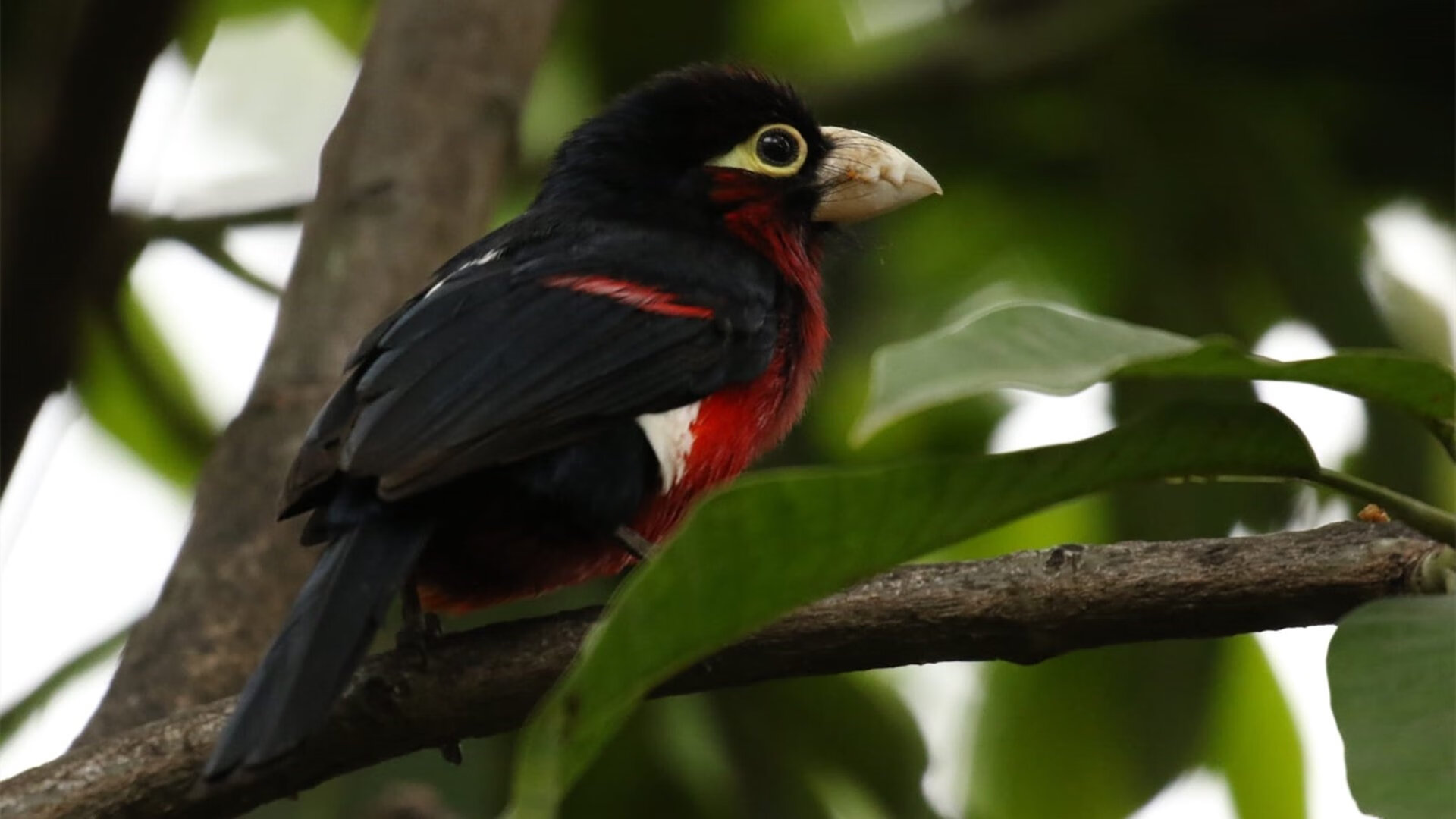 青年梯队输送稳定形成良性发展循环,青年人才梯队建设方案
