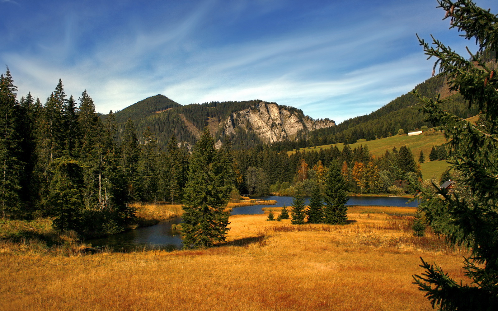 “亚戈·卡尔曼:阿根廷橄榄球的新纪元,未来发展无限”