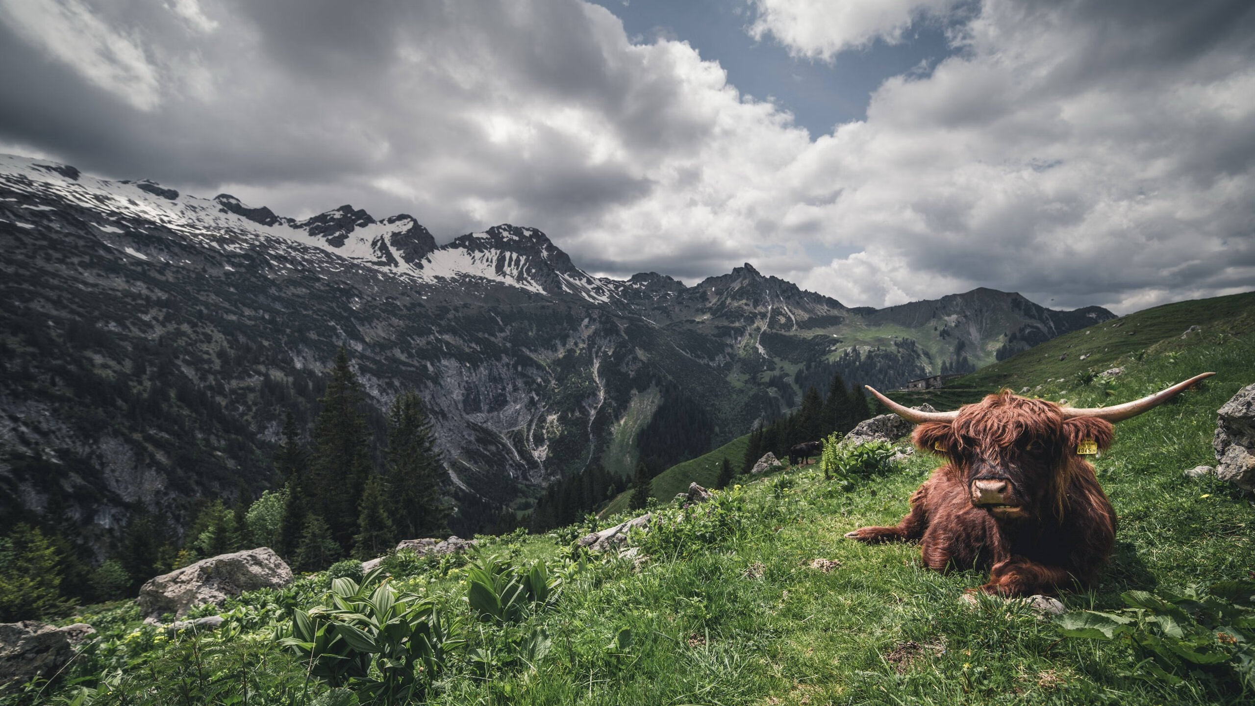 中国足球青训体系创新发展迈出新步伐,中国足球青训将来的发展