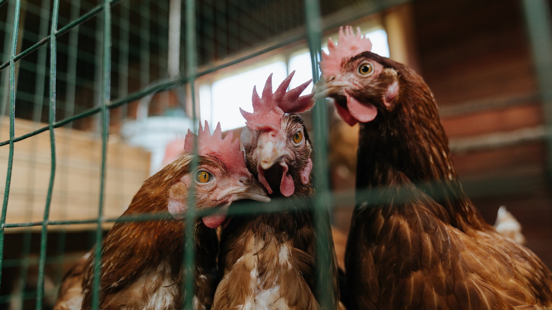 全国青少年篮球训练营发布训练课表与器械清单,青少年篮球培训学校