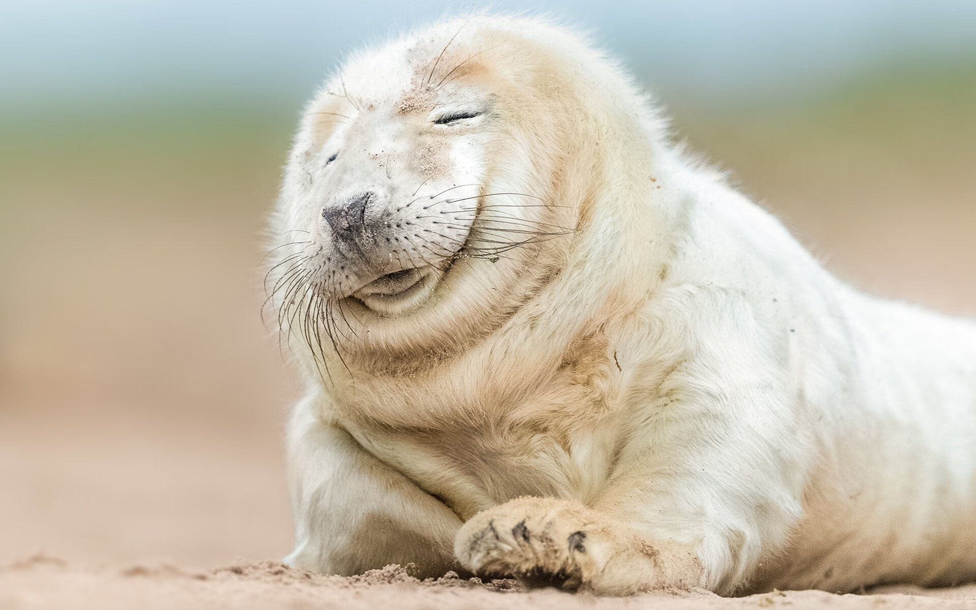 全国青少年篮球训练营发布训练课表与器械清单,青少年篮球培训学校