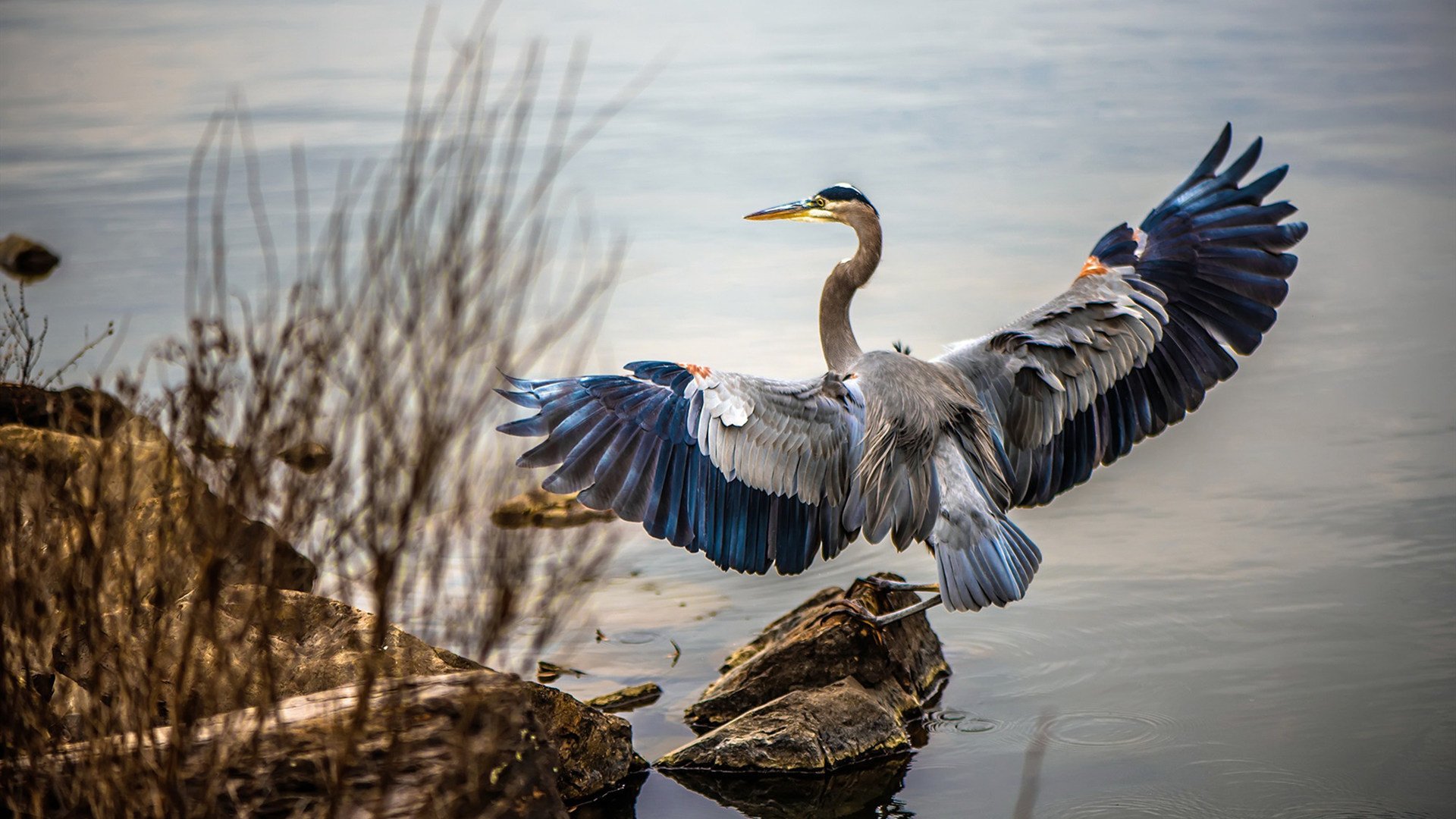 前国脚退役转型,成为青少年足球推广大使,青少年足球改革
