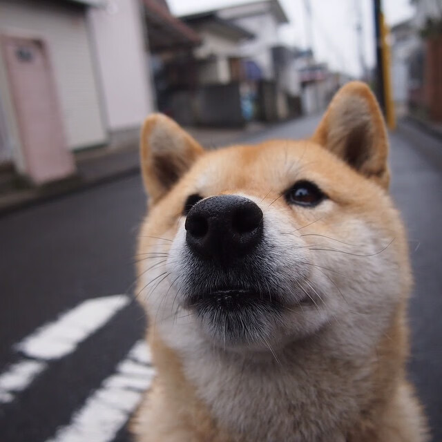 威少强势复出奇才防守效率提升,威少会留在奇才吗