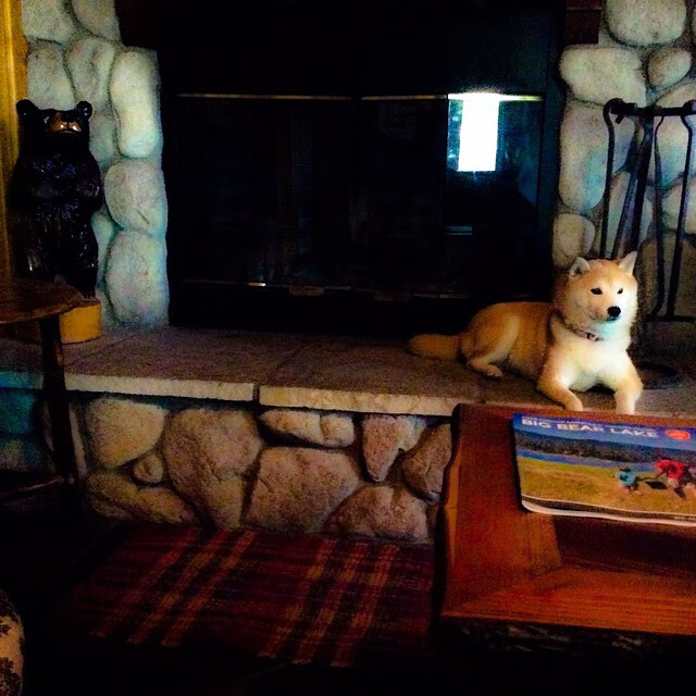 斯洛伐克男篮在欧洲大赛中奋勇拼搏,追逐梦寐以求的奥运门票,斯洛伐克欧洲杯人员名单