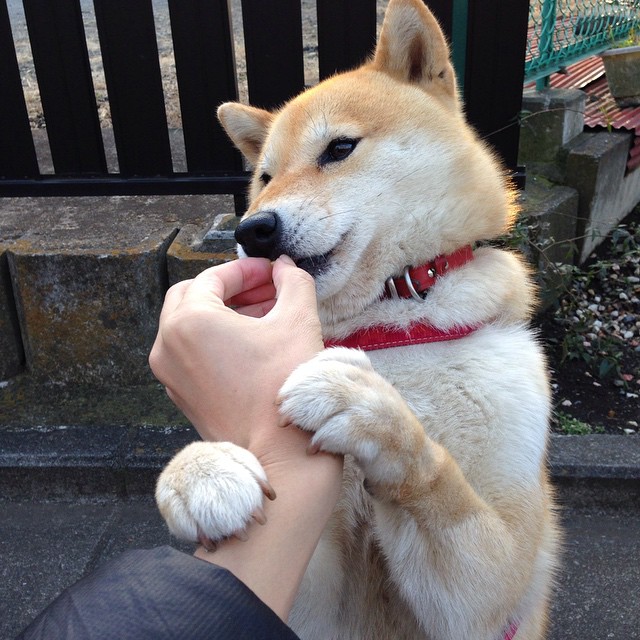 极限滑板运动推广活动启动,极限滑板爱好者