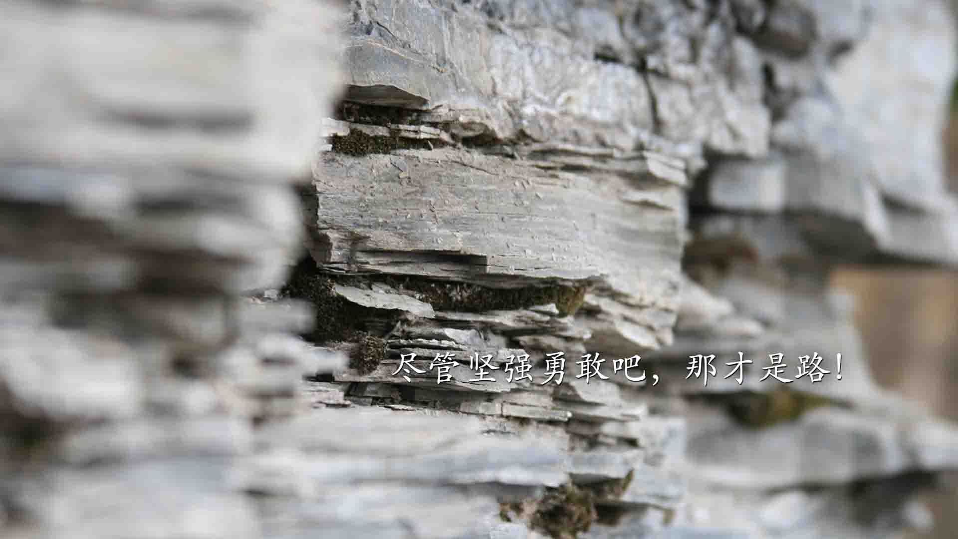 波尔曼的全能表现为袋鼠队提供了丰富的战术组合,波尔曼斯