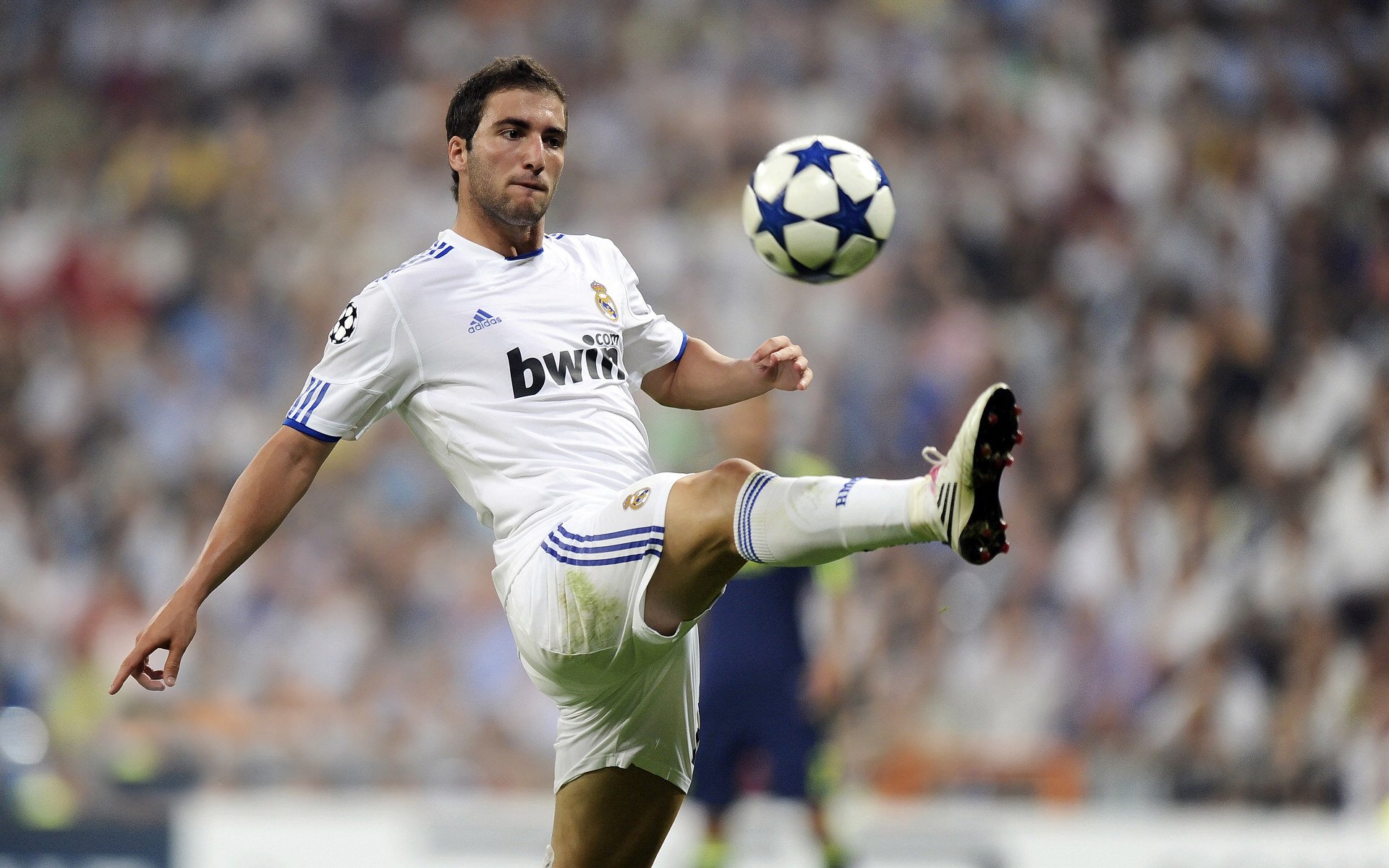 欧冠与南美解放者杯计划举办“超级杯” 欧洲冠军对阵南美冠军